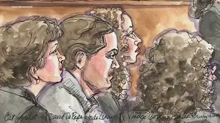 David DePape guilty on all federal charges in attack on Paul Pelosi