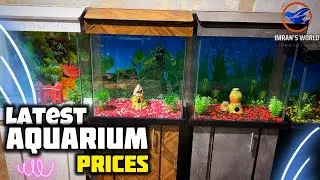 Latest Fish Aquarium Prices Oct 2024 | ST Aqua Marine Shop Lalukhet Aquarium Market - Imran's World