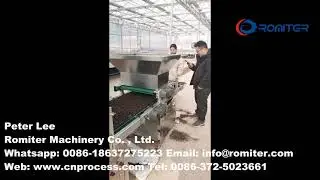 Automatic Chili Seedlings Growing Machine