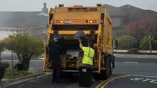 One of the Last Manual Greens Collections in the East Bay &ndash; Featuring a Mack Heil Rear Loader