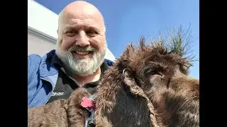 Charlie & Me get back to the trilogy in Cork and we take a trip to Ballycotton & Midleton