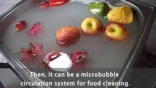 Microbubble Generator for Food Cleaning Device