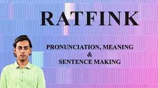 RATFINK - Meaning_&_Pronunciation_Word_World_Audio_Video_Dictionary