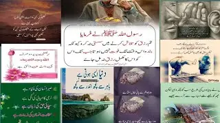 Quotes About life | Motivational Islamic Quotes | Golden Words | Rumi Quotes Hazrat Ali Quotes