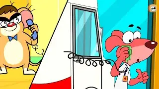 Dog Become an Ambulance Driver!?: Dog vs Rats | Doggy Don | Rat A Tat | BEST CARTOON COLLECTION