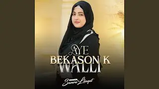 Aye Bekason K Walli