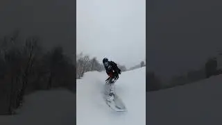 【snowboarding】パウダー！！今シーズンもパウダー滑りたい！！#shorts #snowboarding #carving #パウダー #チャンネル登録よろしく