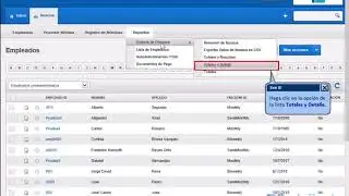 Totales y detalles en Brainbooks
