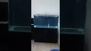 90 Gallon Monster Aquarium ||  4 Feet Aquarium || New fresh water Aquarium ||