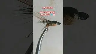 FLY FISHING , Atado imita&ccedil;&atilde;o passarinho.