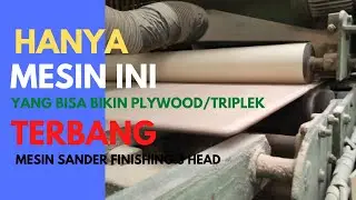 Proses plywood | Mesin sander finishing 3 head plywood ekspor eropa