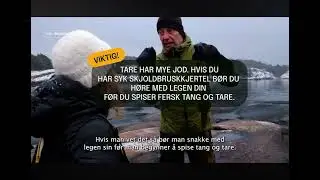 Milj&oslash;agentene hos Ting med Tang 2025