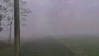 Winter morning | Coochbehar, West Bengal | Video 7