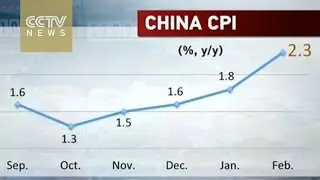 China&rsquo;s economy : February CPI up 2.3%, PPI down 4.9%