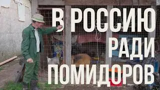 10 лет в поле без света и газа: Семья из Приднестровья строит ферму под Калугой