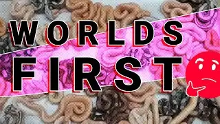 Boa live birth!! Our Red Dragon Labyrinth Boa litter!