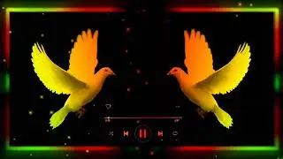Color Border line Effect Video ! Colorful Background Video Effects Green Screen ! Smoke Video Effect