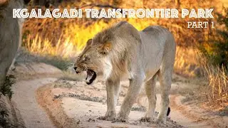 Kgalagadi - Rooiputs, Matopi, Two Rivers - Part 1