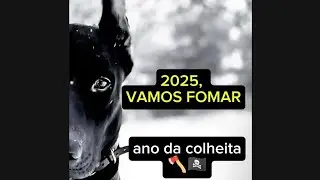 RC 104 | ANO DA COLHEITA