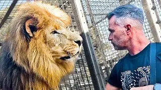 LION CHALLENGE с Кевином Ричардсоном | Заклинатель львов