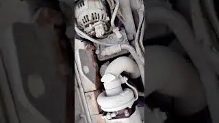 VID 20181008 124108