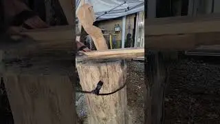Just cutting. #fyp #shorts #woodworking