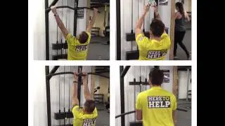 The Gym Hub - Lat Pull Down exercises