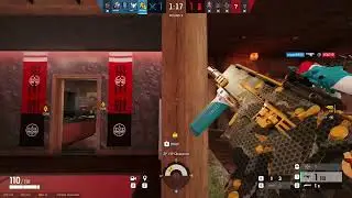 Nice Lion Triple