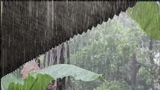 The Best Heavy Rain in the World 🌧️ | Quick Sleep Therapy, Relaxation, ASMR