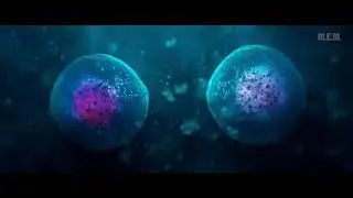 10% - 20% brain activity...| Escaping scene | Lucy |