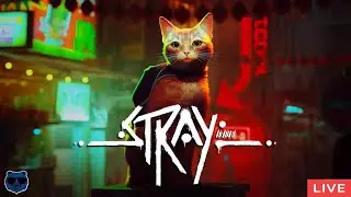 Stray Full Story Mode Completed #roadto2k