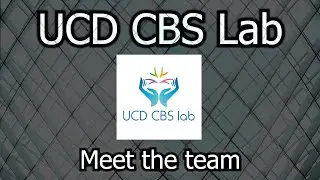 Meet the team | Contextual Behavioral Science Lab at University College Dublin