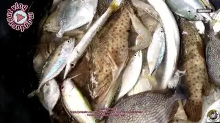   May mga huli tayong lapu