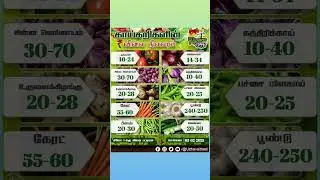 Vegetable Price  Today! What You Need to Know 🥦🔥#vegetables #market #fruit #farmersmarket #chennai