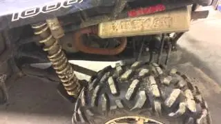 Wildcat 1000x