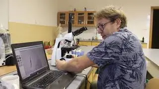 DOD Gymnázium Polička - biologie