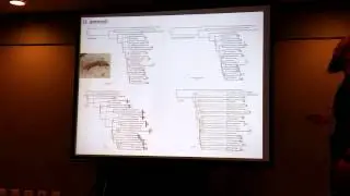 Domingos: Genomics and cryptic species in the Neotropics: Coalescent species delimitation