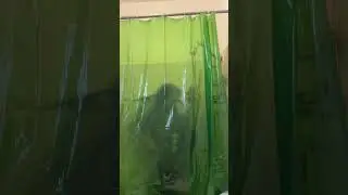 musical gargoyle lurks in shower