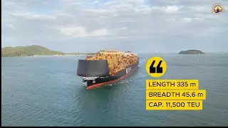 CONTAINER  SHIP  MSC LEILA  ARRIVING  PARANAGUA  PORT  -  BRAZIL