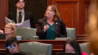 Illinois State Representatives speak on the Homeschool Act | Capitol News Illinois
