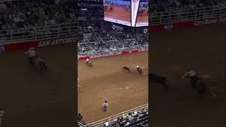 #Rodeo #sanantoniorodeo #teamroping #equestrian #horse