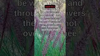 Bible Verse of the Day Today 🙏 | Daily Bible Verse in English #Shorts #BibleVerseOfTheDay
