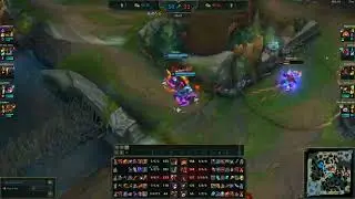 Brand  - Gnar Stun
