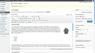 Wordpress B&aacute;sico: Listas