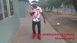 Teroy Overload Skankaz Choreography : Stray Dog