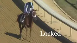 Talking Racehorses: Locked