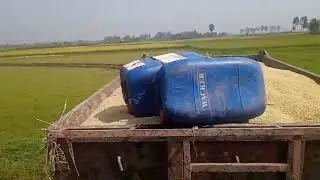 swaraj 744 4x4 fe power dhako tractor video 😲👍