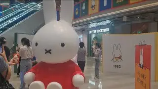 С днём рождения! Видеоблог выставки Miffy Birthday