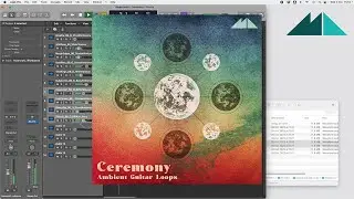 Ceremony - Ambient Guitar Loops | Sample Pack Walkthrough