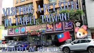 Pet Store In Taiwan! 3/28/18 | Mostly The Hamster/Small Animal Section 🐹🐰🛍
